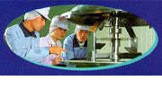 Company Information